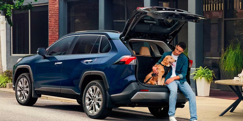 Man and dog sitting on the back of the RAV4